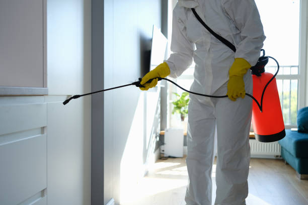 Best Commercial Mold Removal  in Riverside, MD