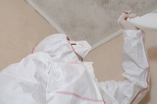 Best Mold Remediation  in Riverside, MD